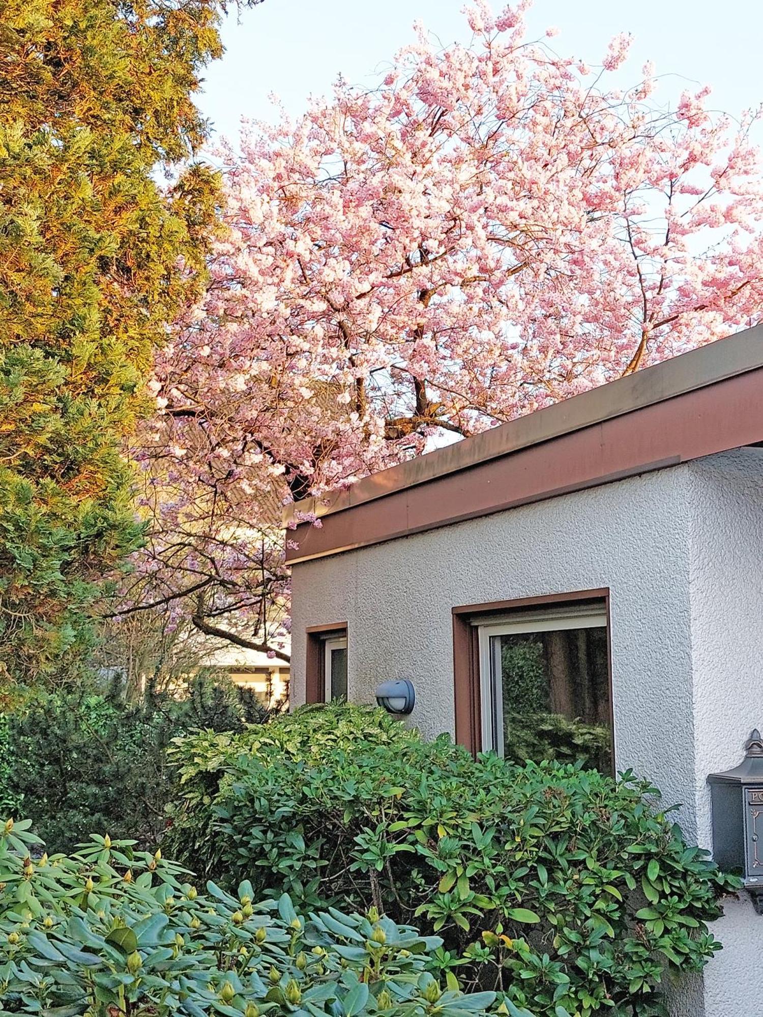 Apartment Close To Nature,Airport, Fair ラーティンゲン エクステリア 写真