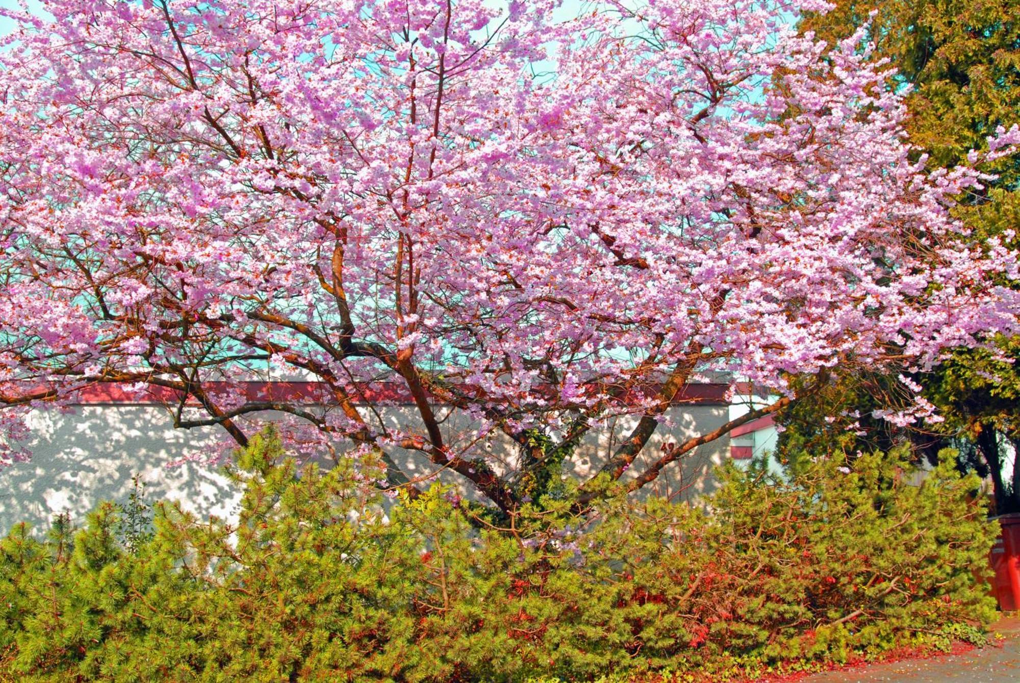 Apartment Close To Nature,Airport, Fair ラーティンゲン エクステリア 写真